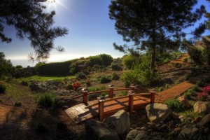 Redwood Garden Bridges