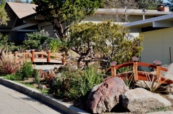 Here are 2 short post bridge, placed in front yard landscaping located in CastroValley, CA