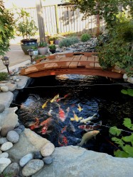 Here is a 8ft x 4ft Japanese Bridge over a koi pond.
