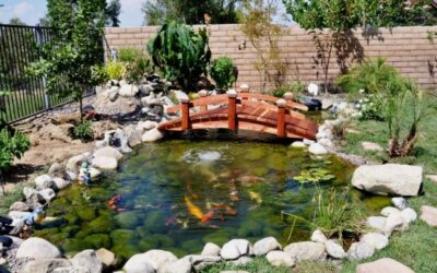 Koi Pond Bridges in California: The Timeless Appeal of Redwood