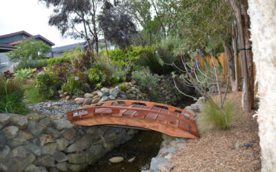 Japanese Bridges: Tradition, Symbolism, and Their Influence in California