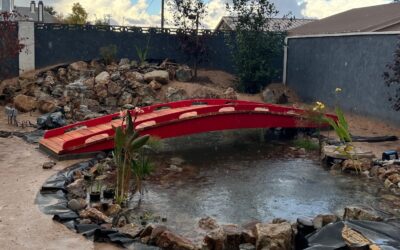 How to Build a Garden Pond in California: A Complete Guide for Homeowners
