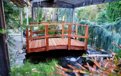 6 Foot Garden Bridge: Compact Design, Benefits, and Redwood Construction